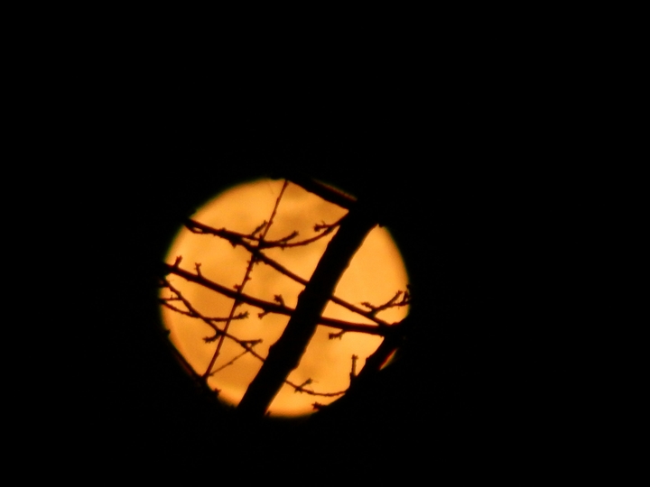 The moon 
