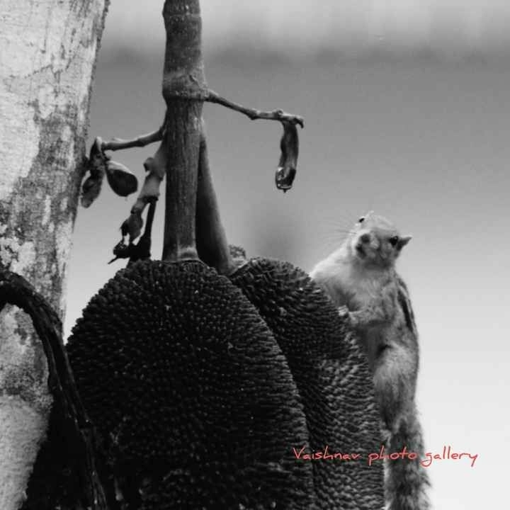 just a click