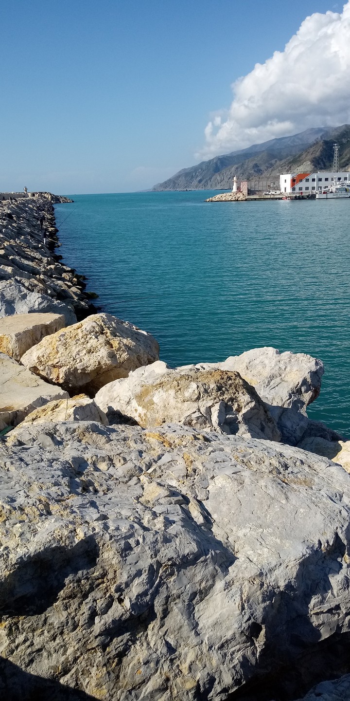 harbor on a sunny day