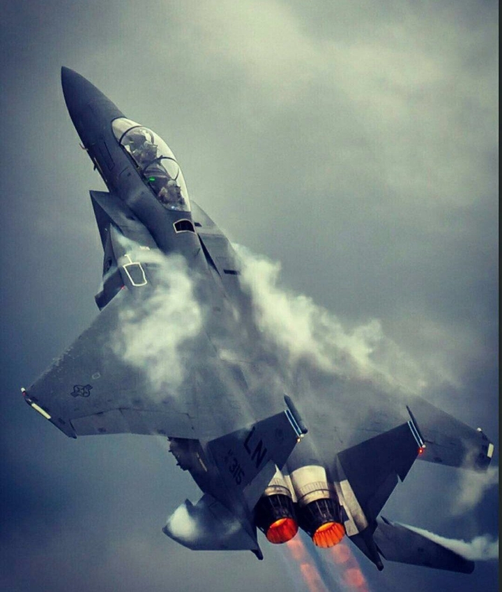 Fly