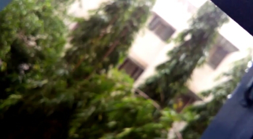rainy focus