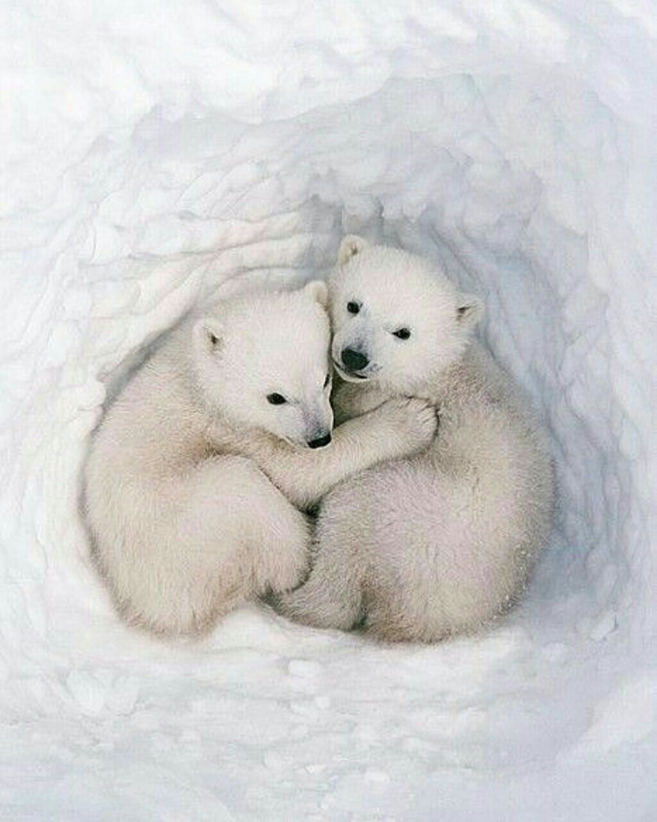 warmer together