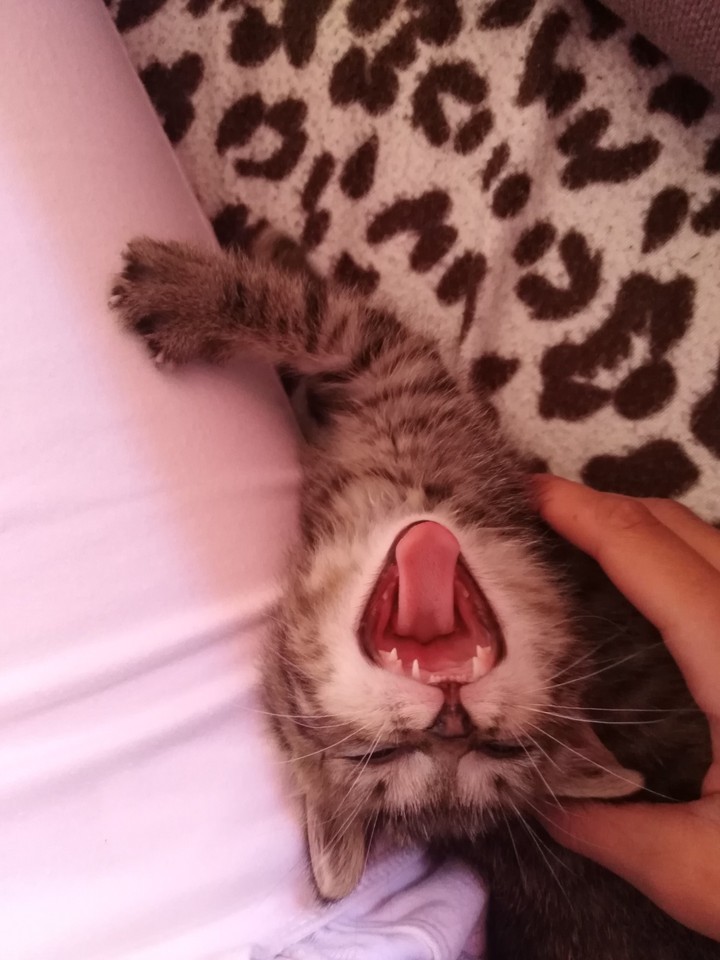 ❤️