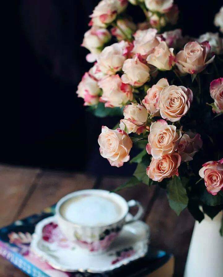 roses"bonjour.