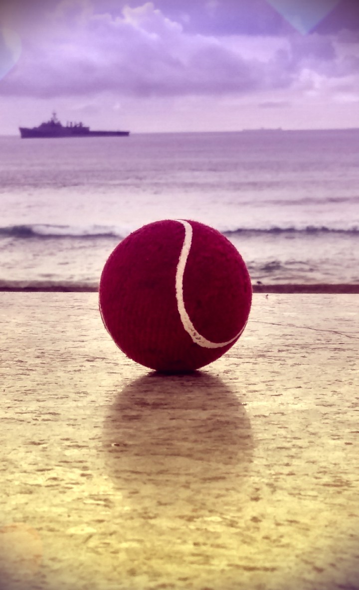 For the cricket lovers