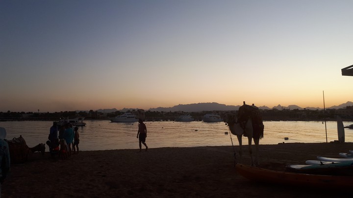 My Click