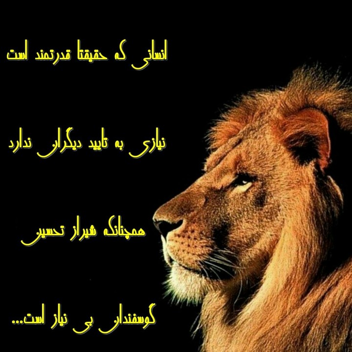 شیر