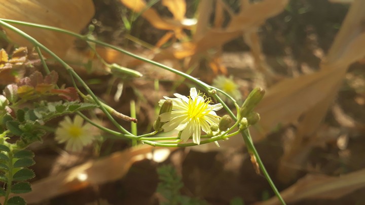 Own Photography