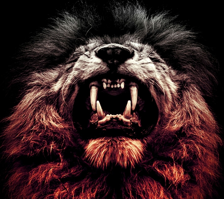 leon