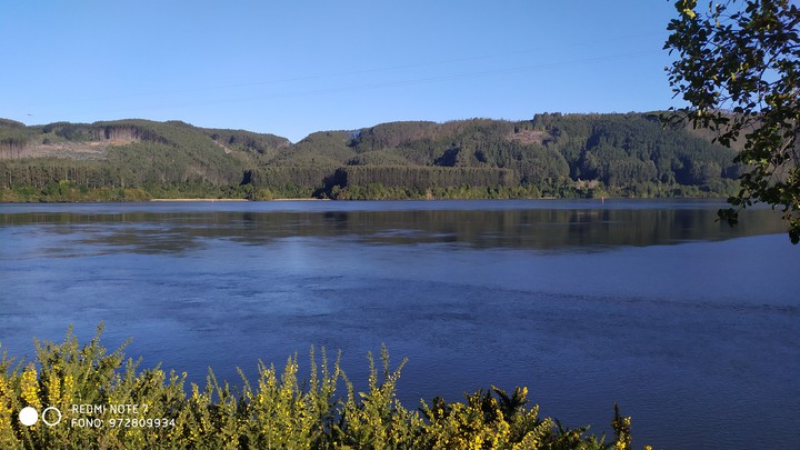 Niebla , Valdivia , Chile