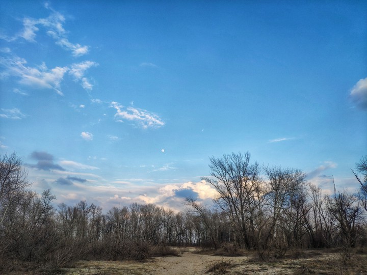 Spring sky 2