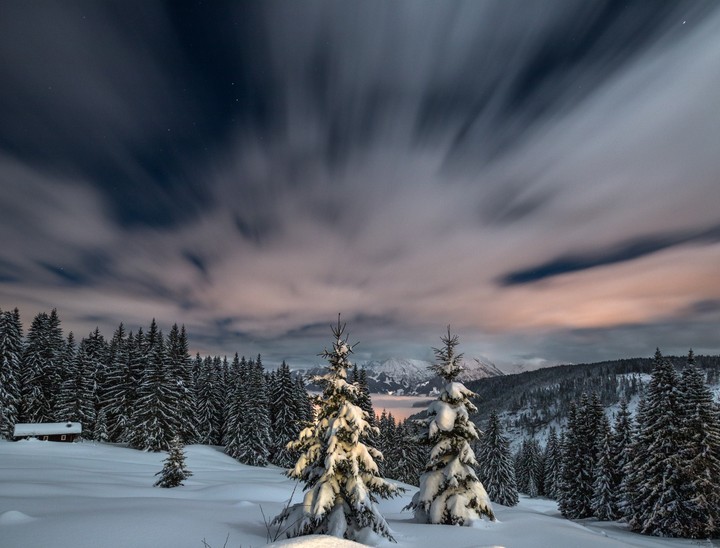 snow & trees