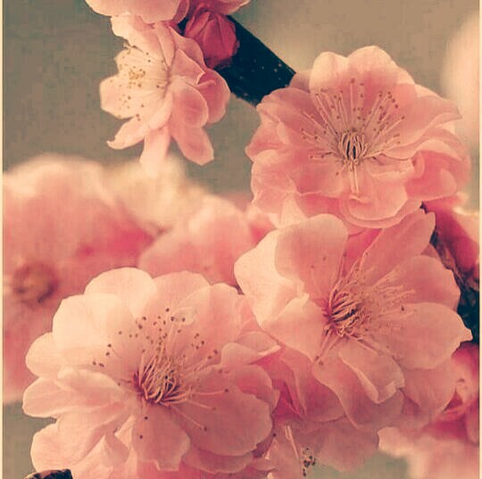 beautiful
