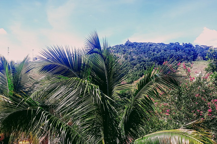 Vista