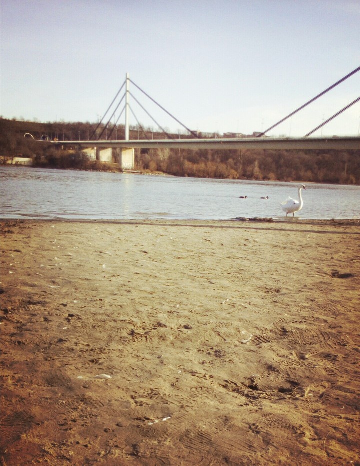 Novi Sad Srbija štrand