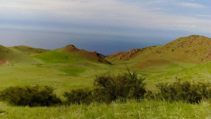 поляна (Кыргызстан)