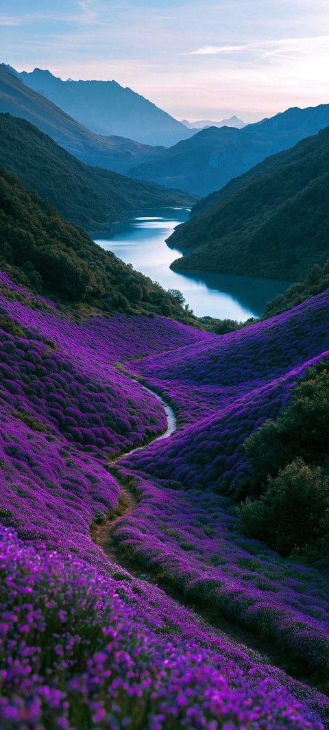 ταπετσαρίες fell, mountain