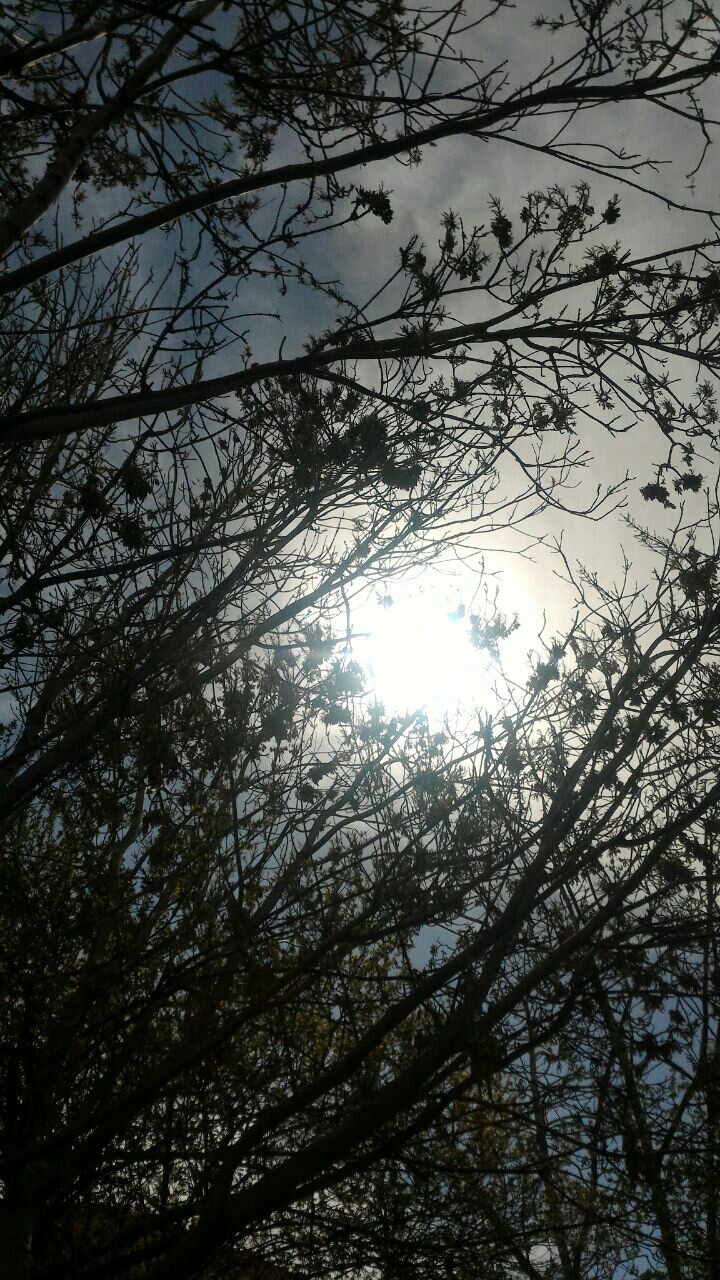Roude Hen _ Iran