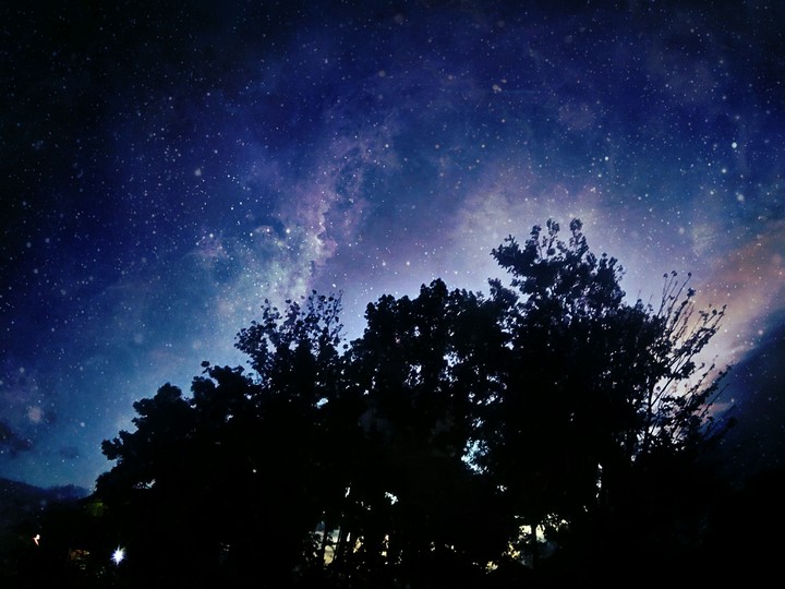 treesN'stars