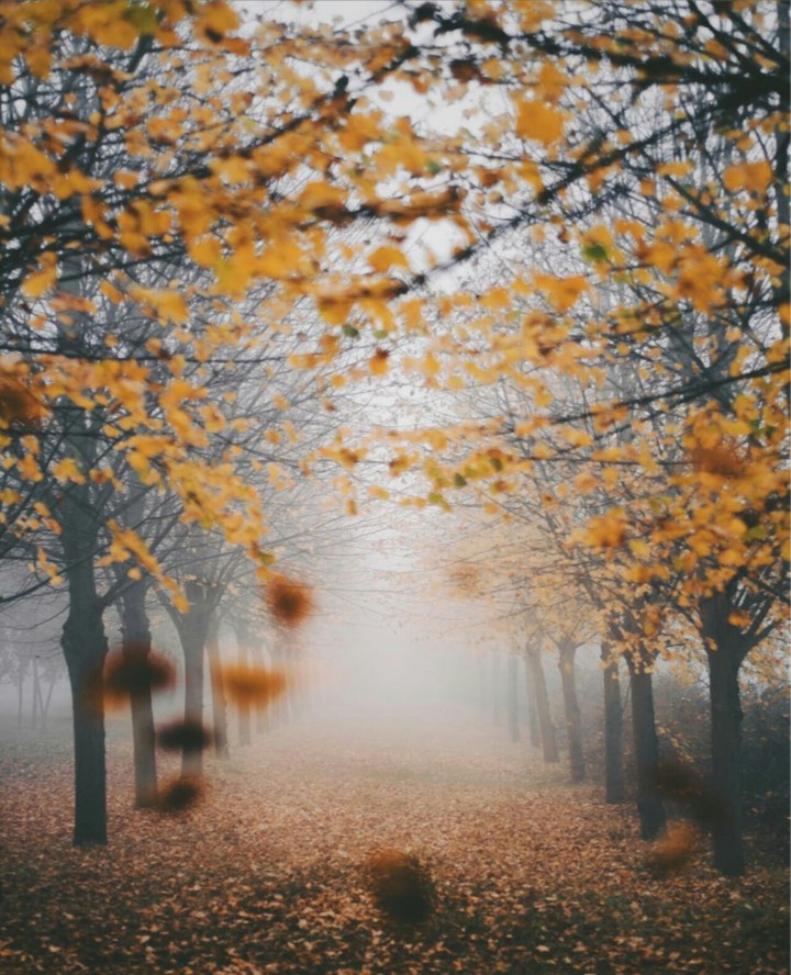 IRAN- autumn