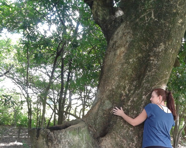 amor pela natureza