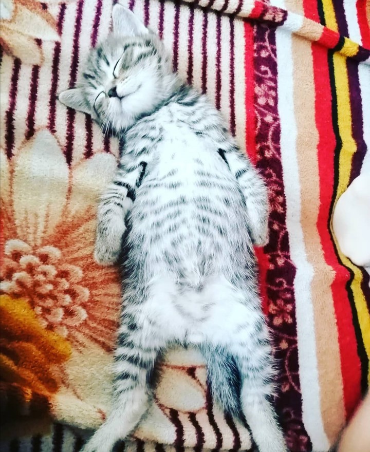 Феликс