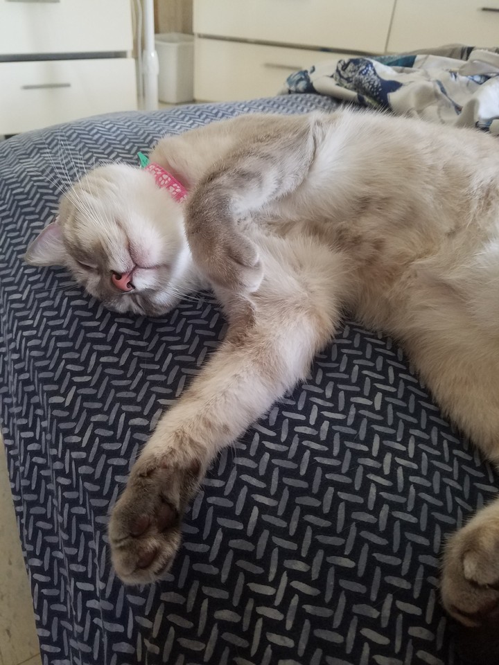 Nina