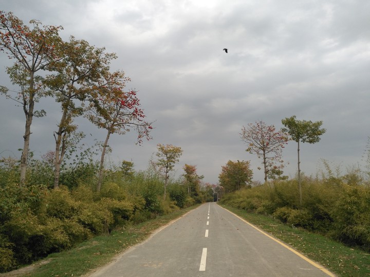 weather
