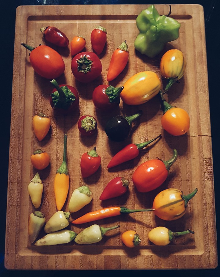~HoT PepPerS~