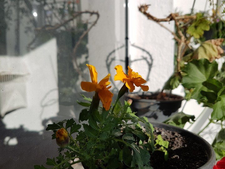 Natureza