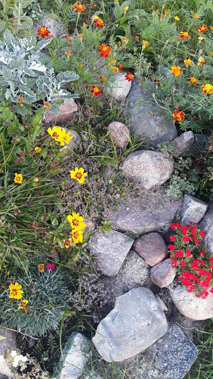 Nature