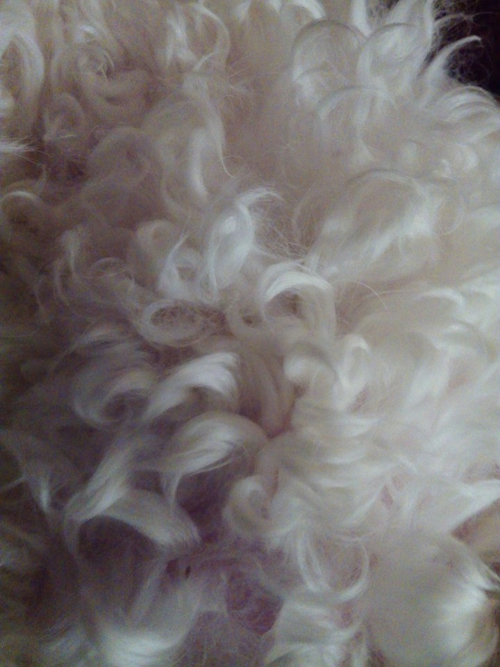 texture pattern