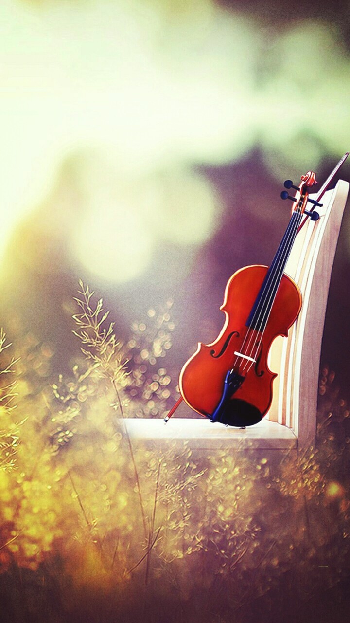 I ❤ music .....like and fallow pls