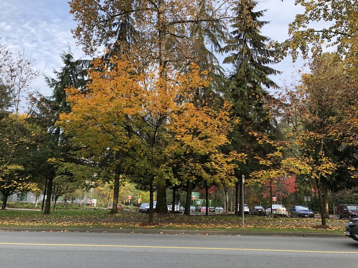 fall