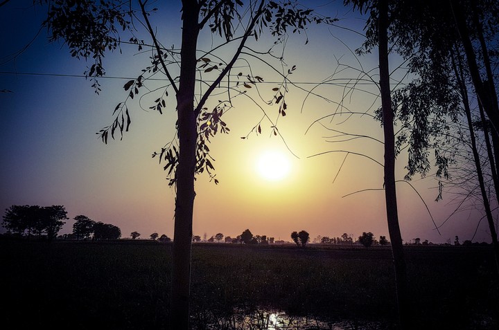 sunset