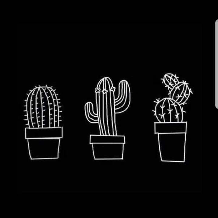 Cactus Tumbrl