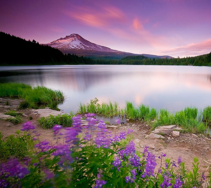 mountain lake