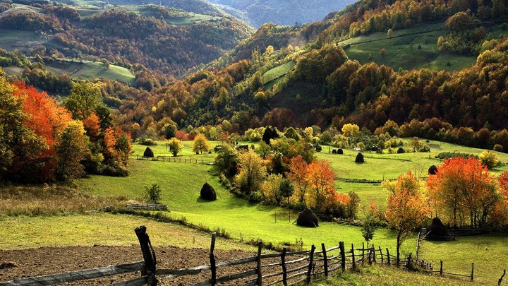 I hope I can  go here