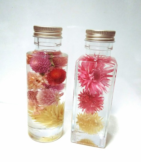 herbarium