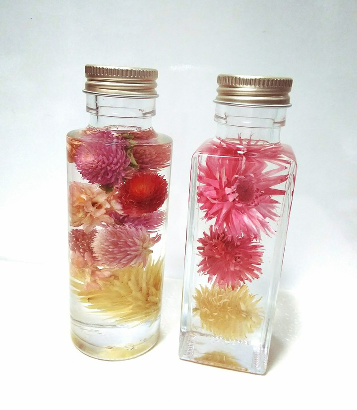 herbarium