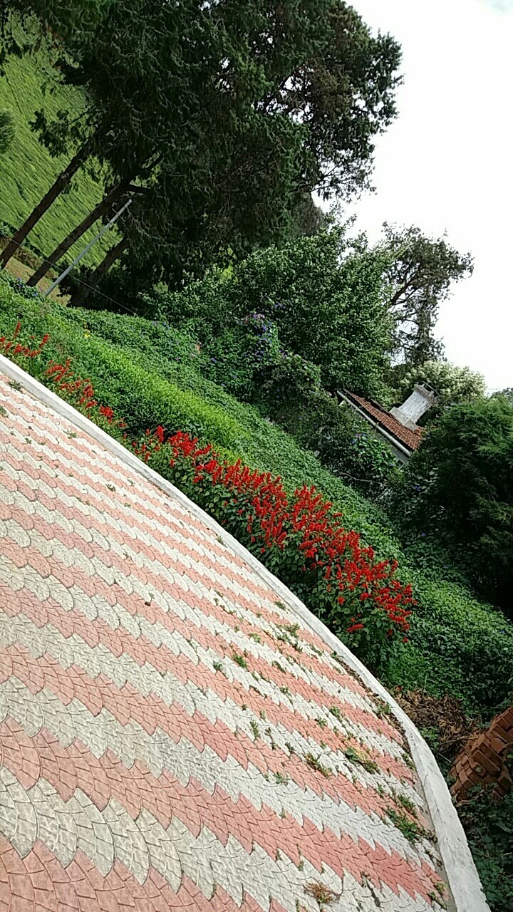 Beautiful