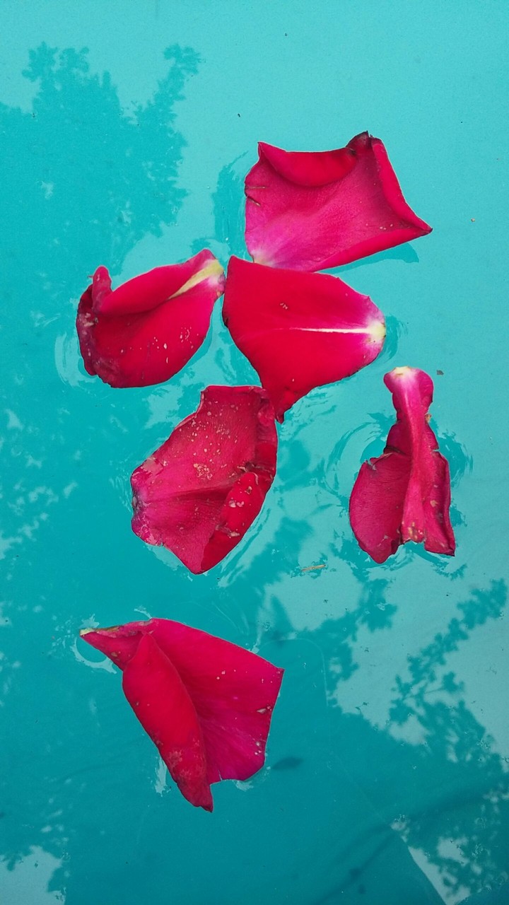 Love on water