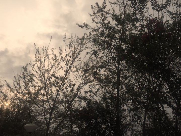 setting sun