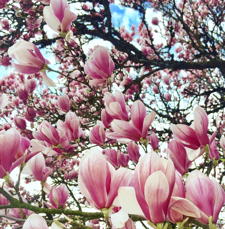 Spring is coming!
