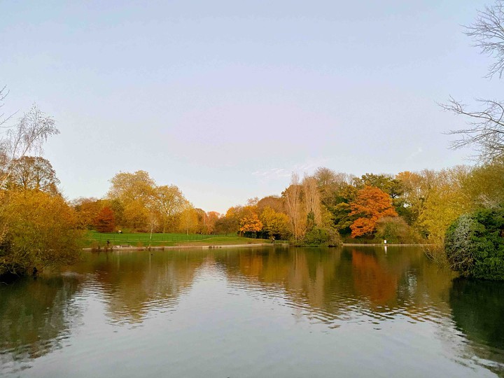 Autumn
