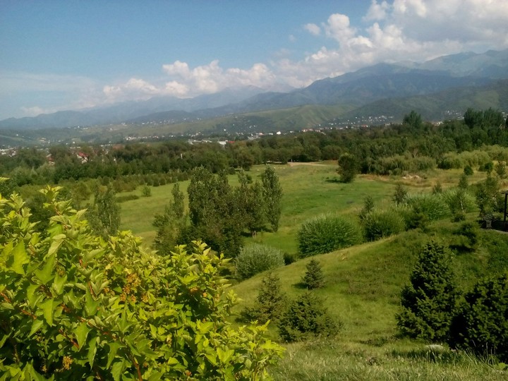 Hill