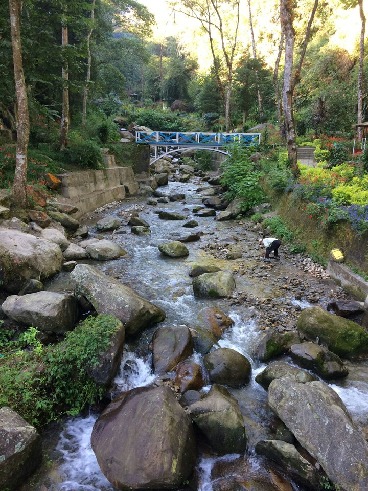 The Brook