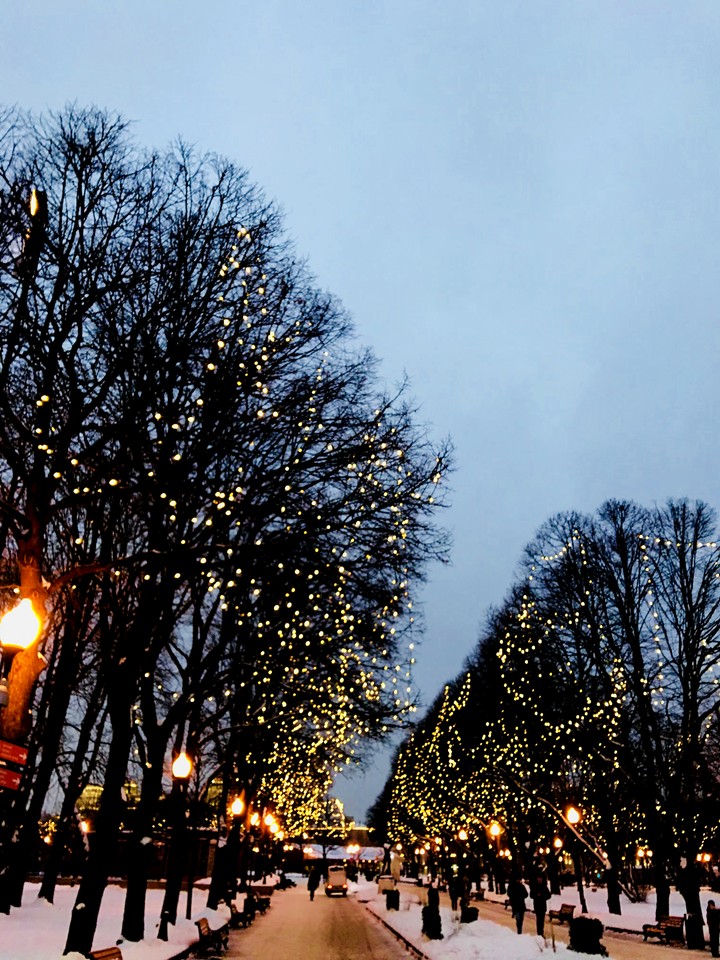 trees