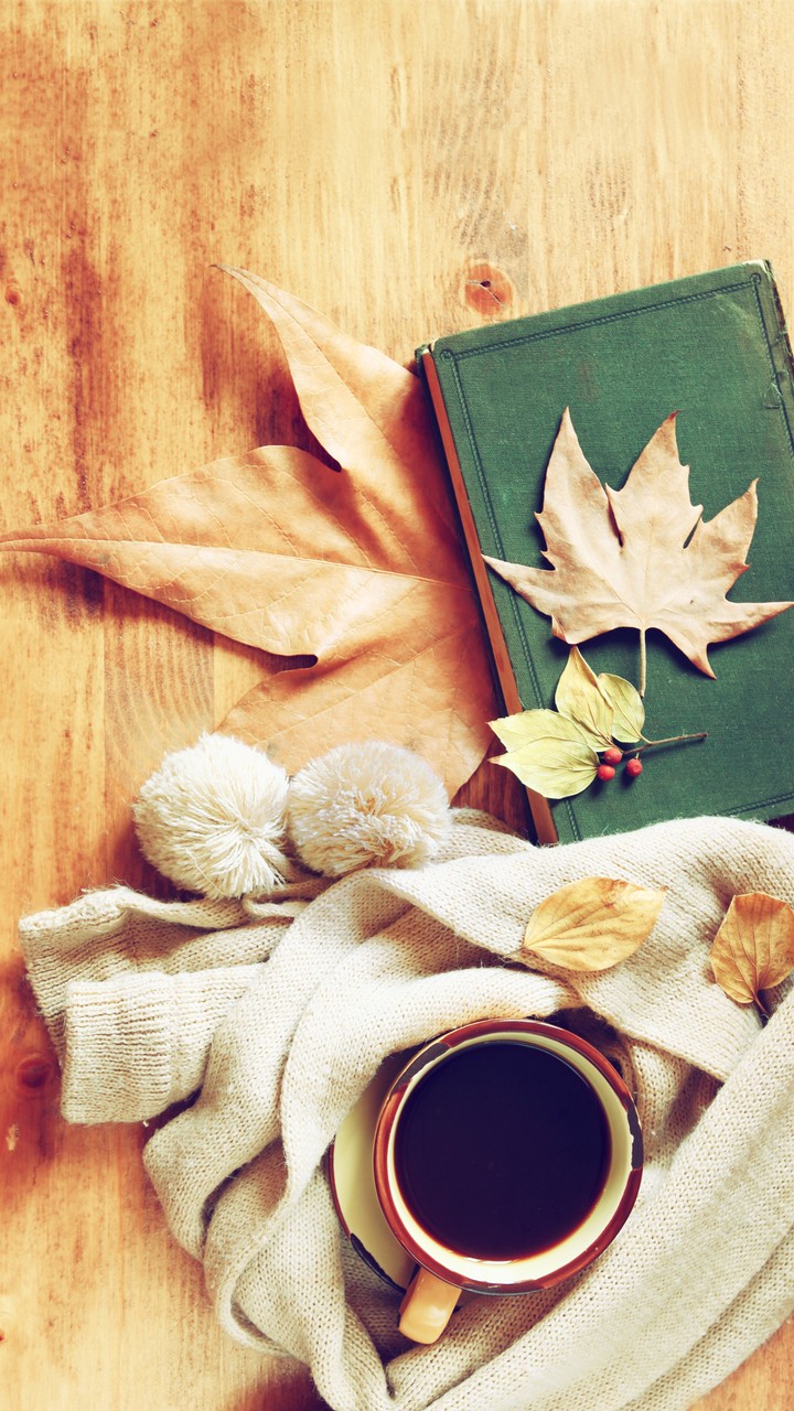 winter is now cosy