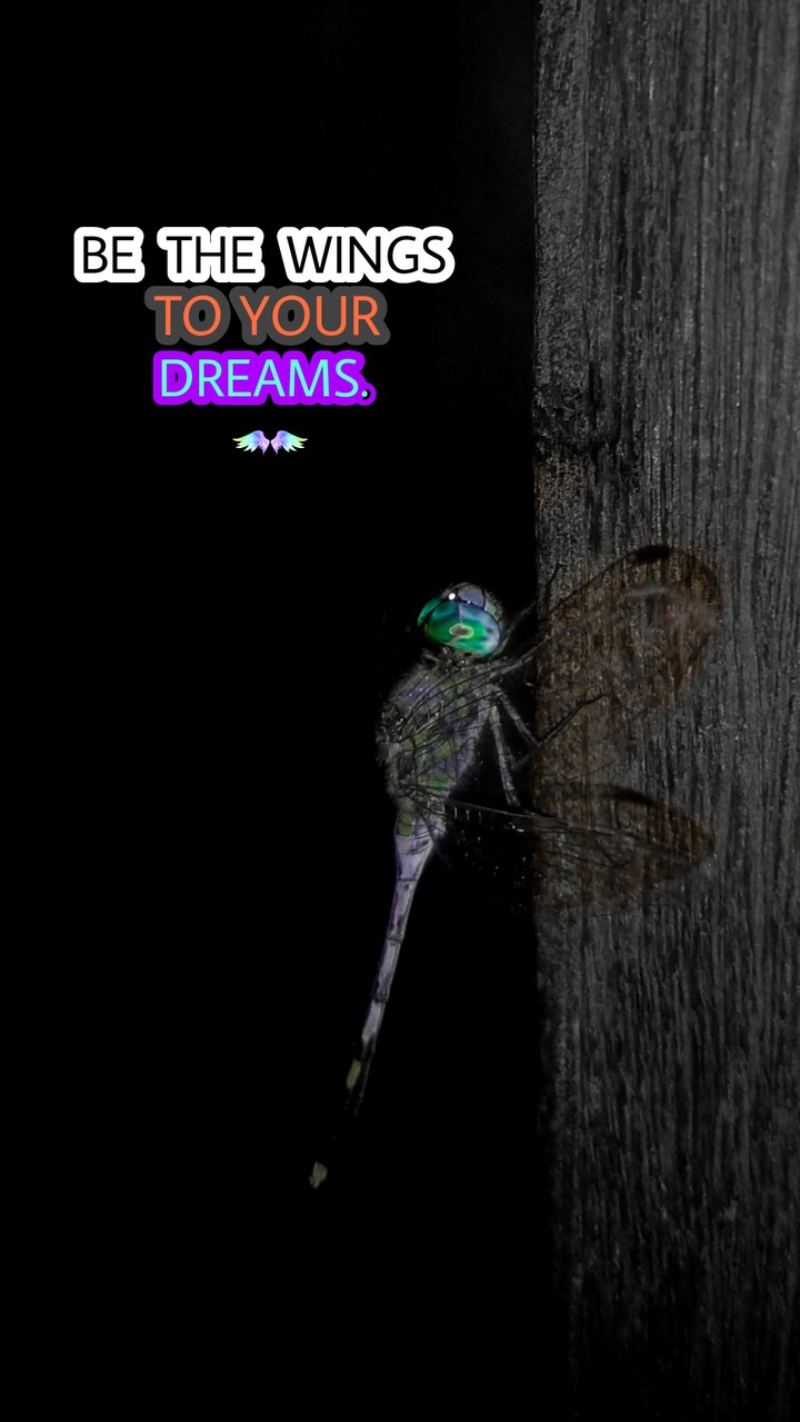BE YOUR OWN WINGS TO FLY !